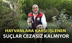 Denizli'de hayvanlara karşı işlenen suçlar cezasız kalmıyor