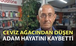 Ceviz ağacından düşen adam hayatını kaybetti