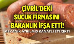 Tarım Bakanlığı açıkladı! Çivril'deki sucuk firması ifşa oldu! Mekanik ayrılmış kanatlı eti çıktı