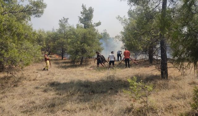 Denizli’de orman yangınına havadan ve karadan müdahale ediliyor