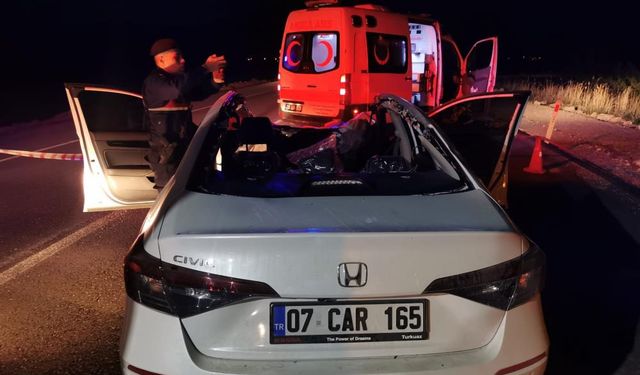 Başıboş ata çarpan otomobil takla atarak hurdaya döndü: 1 ölü 1 yaralı