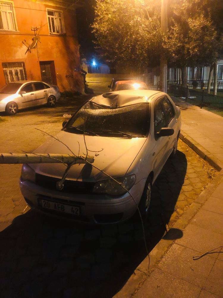 Maddı Hasar